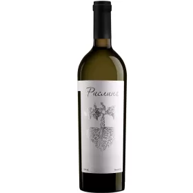 Вино ЗГУ Кубань Gunko Winery РИСЛИНГ