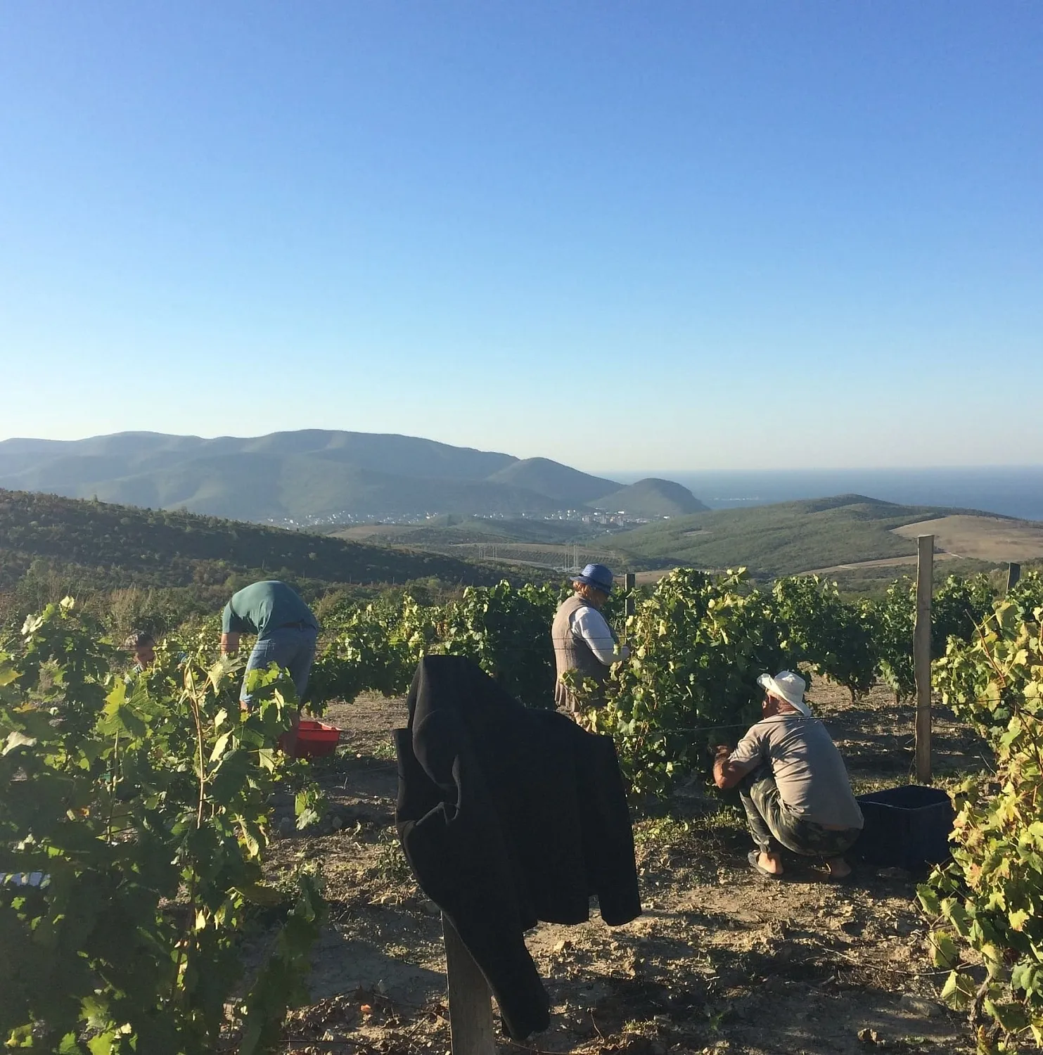 JD Winery