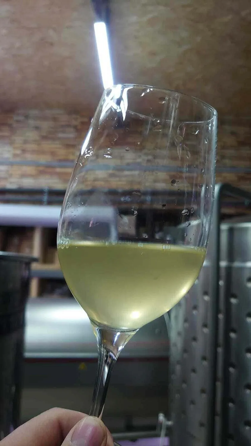 Dubinin Winery