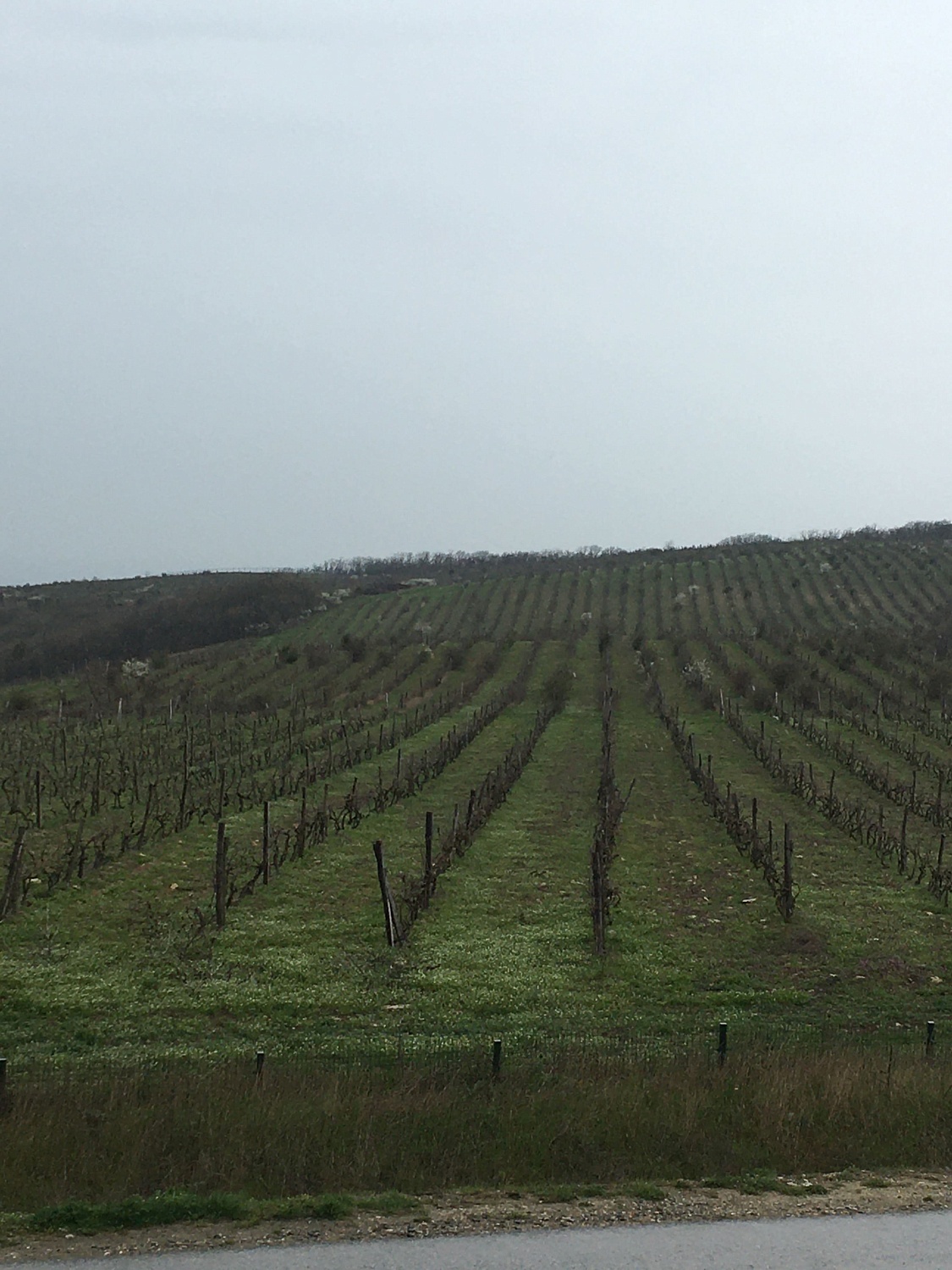 JD Winery