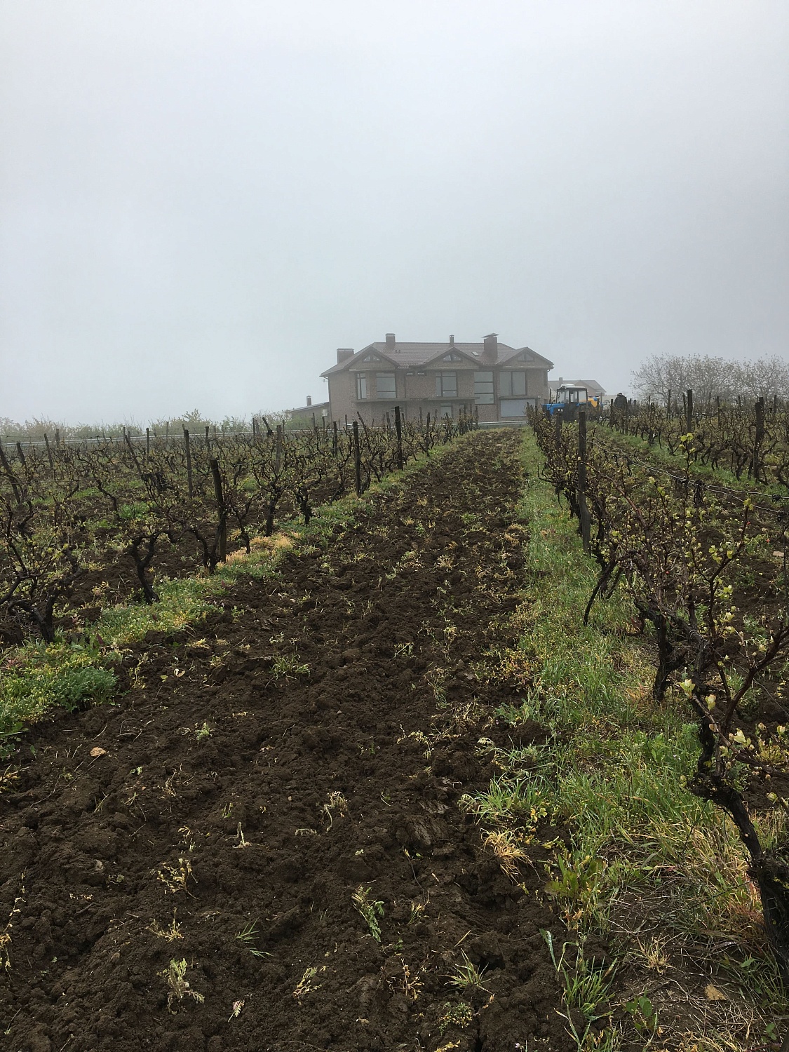 JD Winery