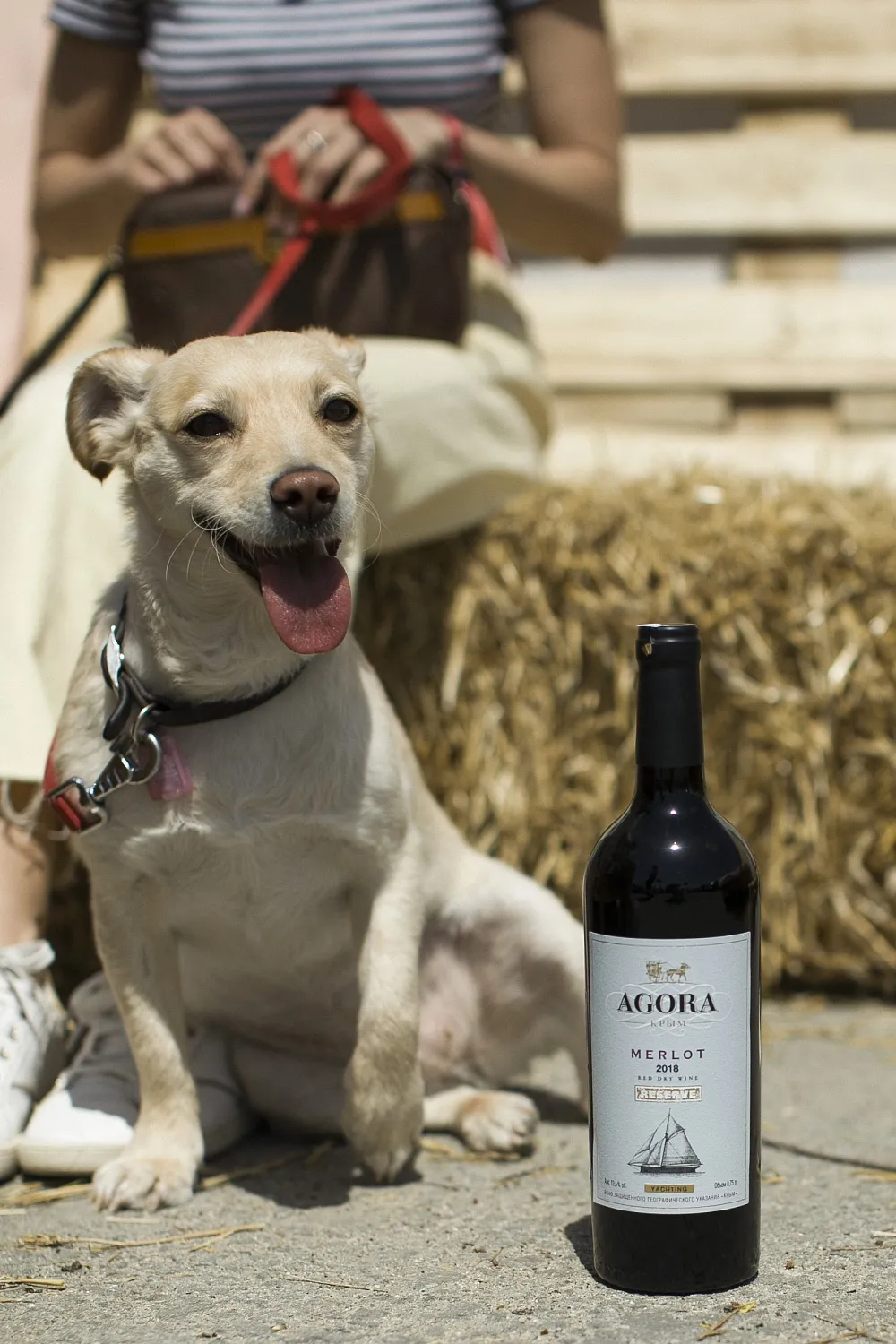 AGORA WINERY
