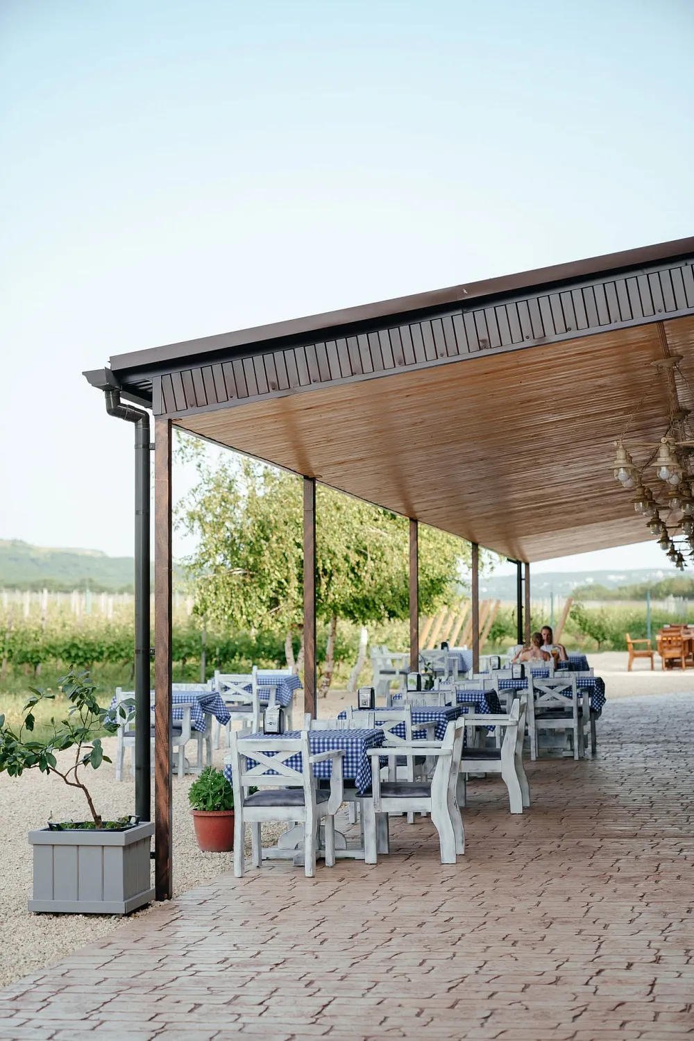 Nesterov Winery